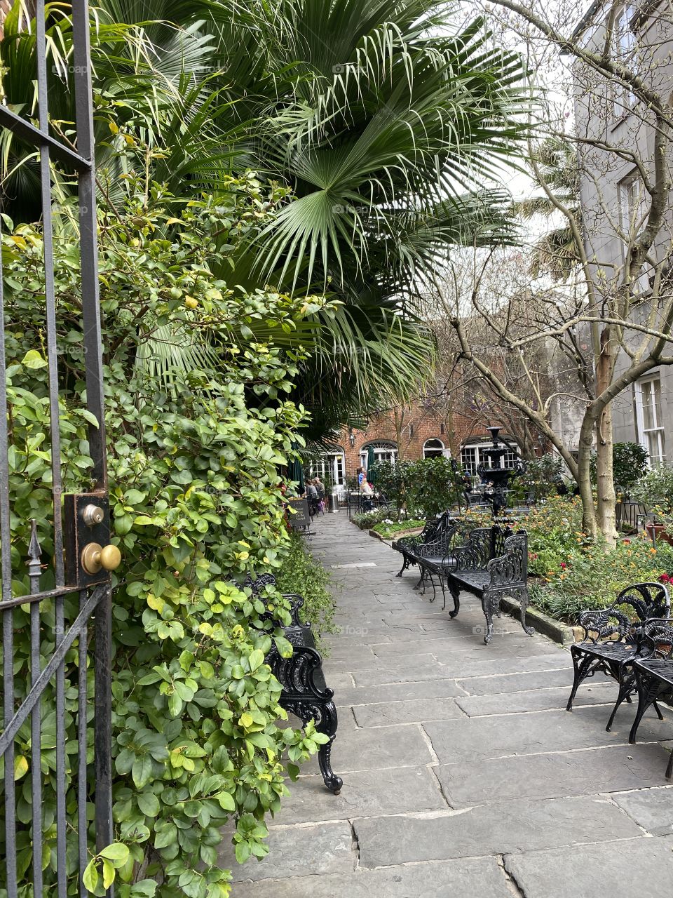 New Orleans courtyard