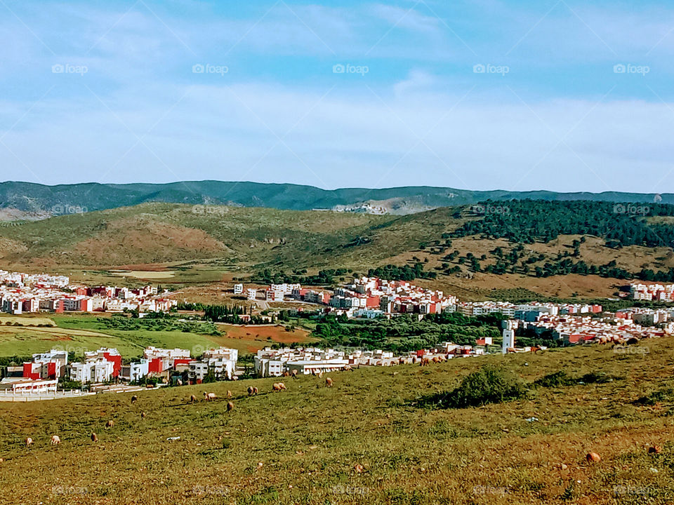 Population between the nature