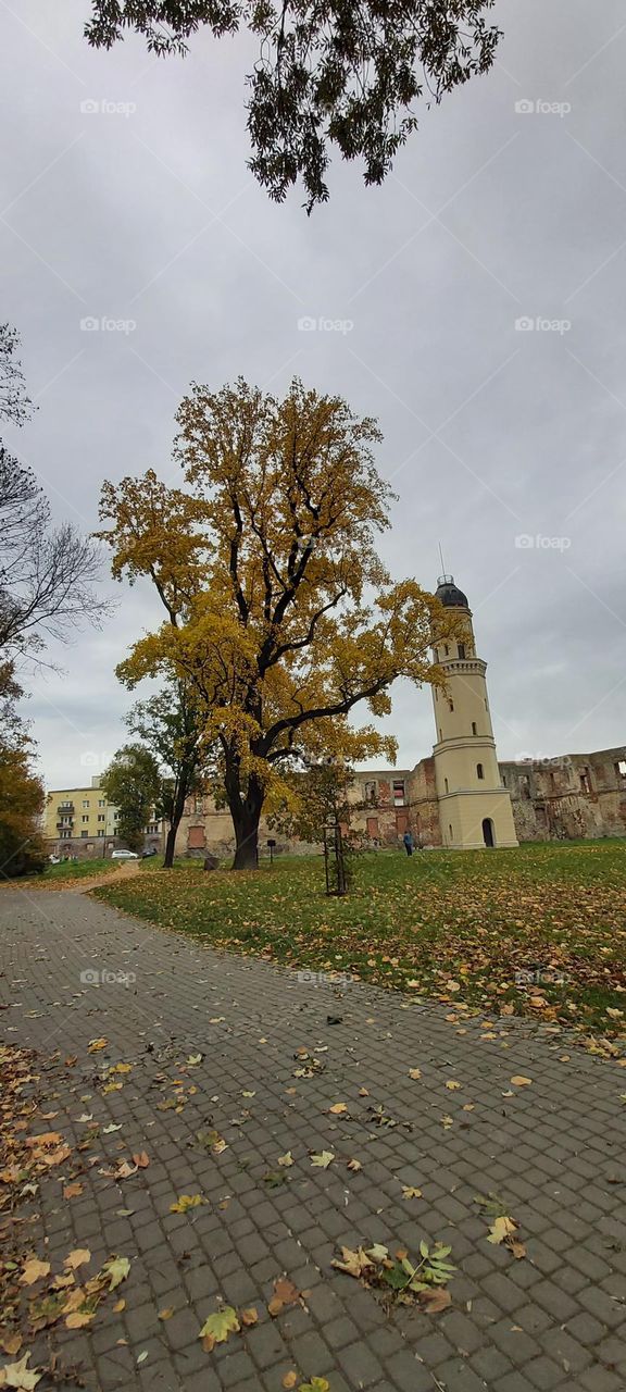 autumn in architecture
