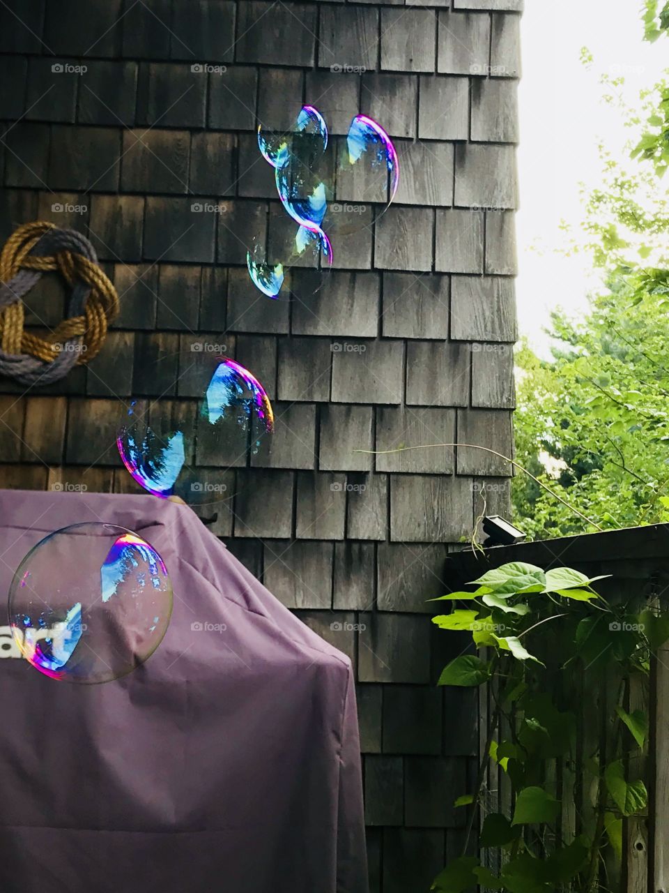 Captured by the Iridescence of Bubbles!  