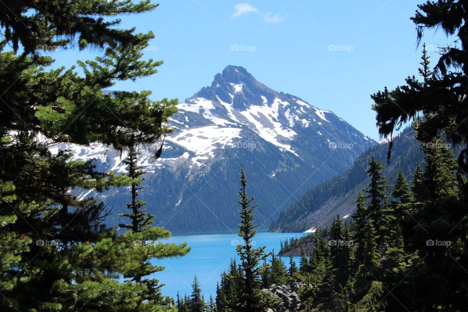 Garibaldi lake through the trees