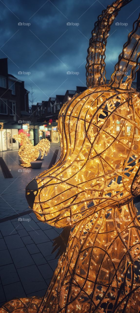 de struytse hoeck Holland