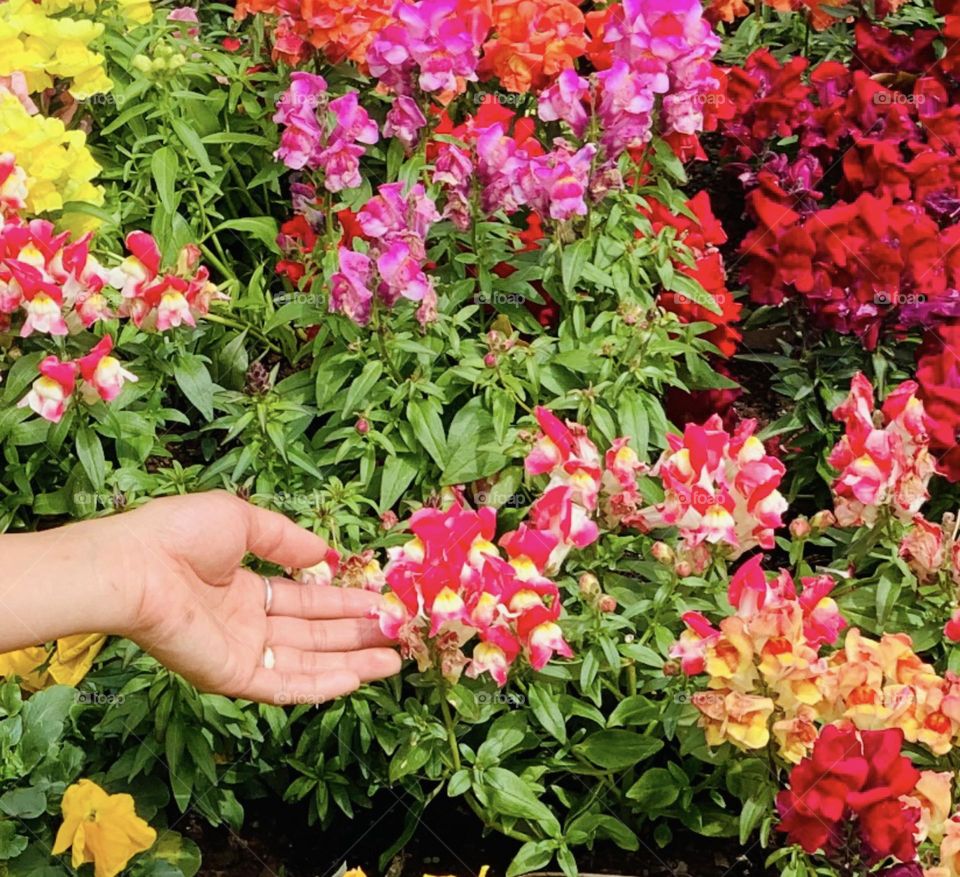 “Flowers will never grow without water and sunshine , it’s like human cannot live without love and understanding”