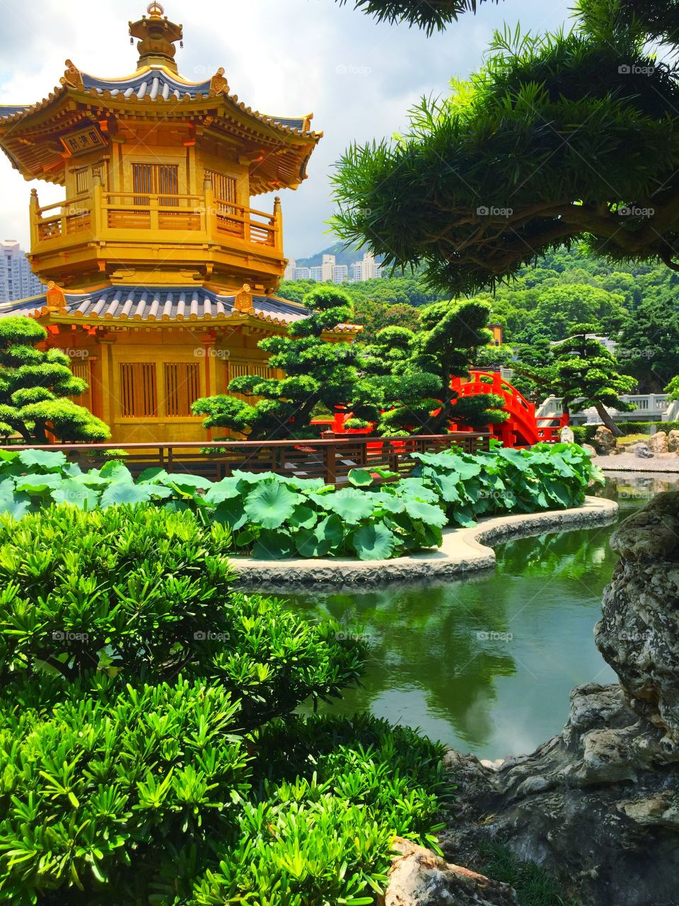 Nan Lian Garden, Hong Kong