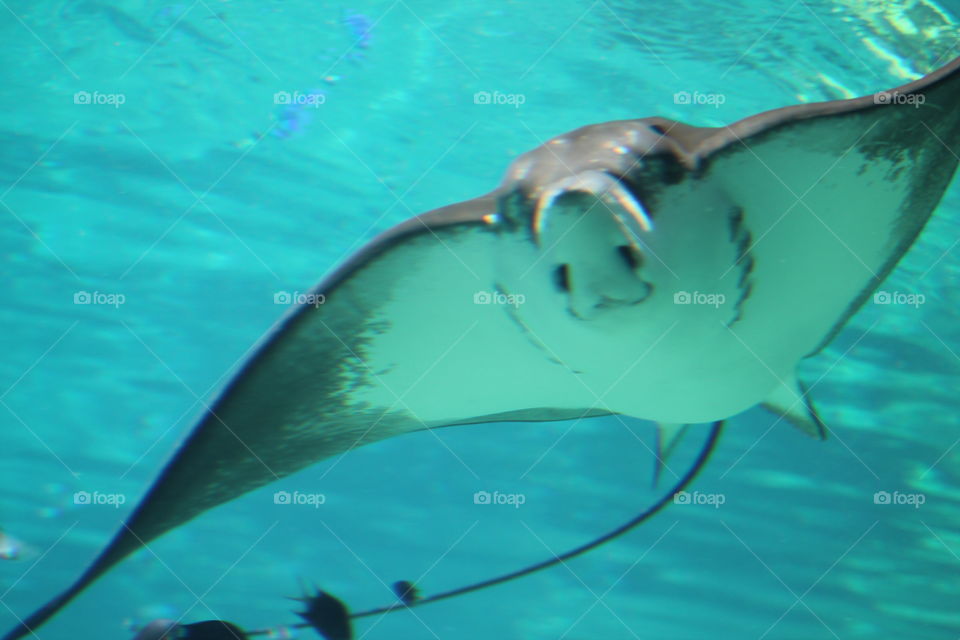 How you doing ? 😍