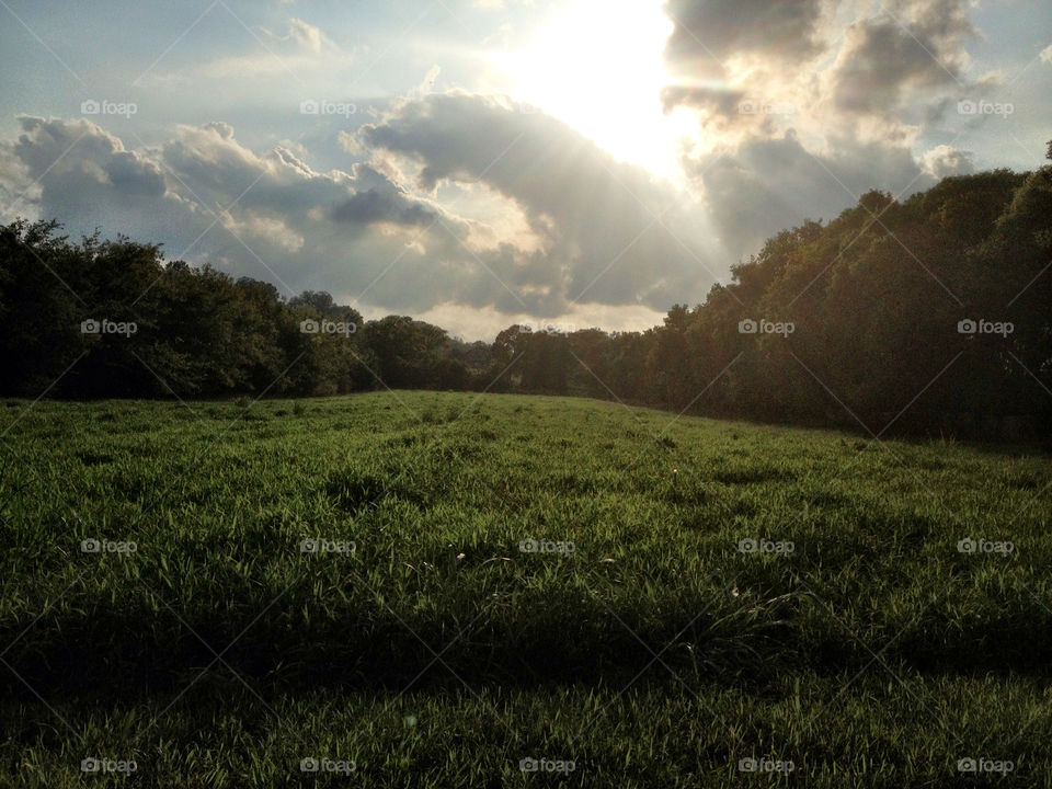 field nature clouds sun by hollyau92