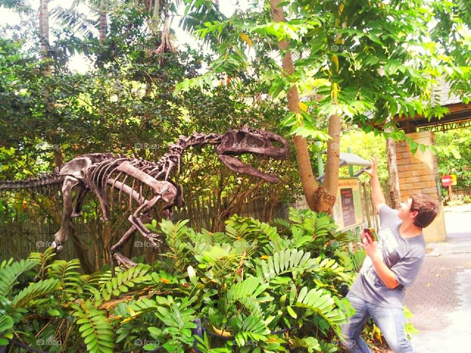 when dinosaurs attack . having fun at the Miami zoo