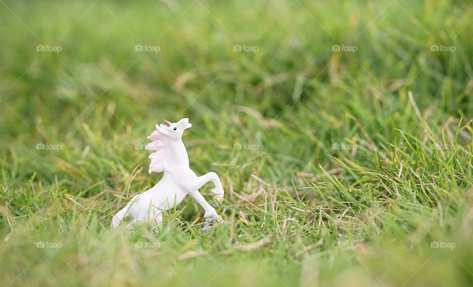 Unicorn. A closed up of a miniature of a unicorn in the garden with shallow depth of field, soft focus and dreamy effect for background and copy space.