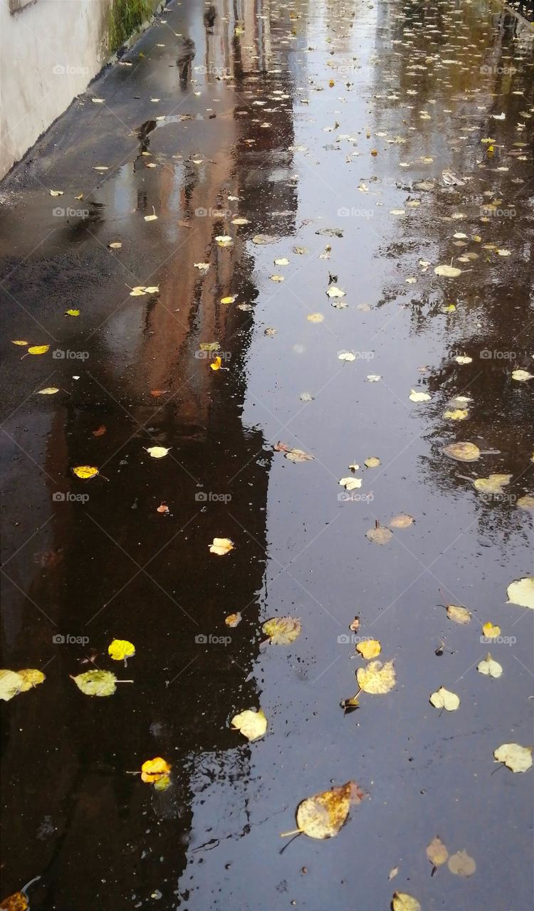 ...Yes, there is some unknown quiet and light sadness here...
... Да, здесь есть какая-то неведомая тихая и светлая грусть...