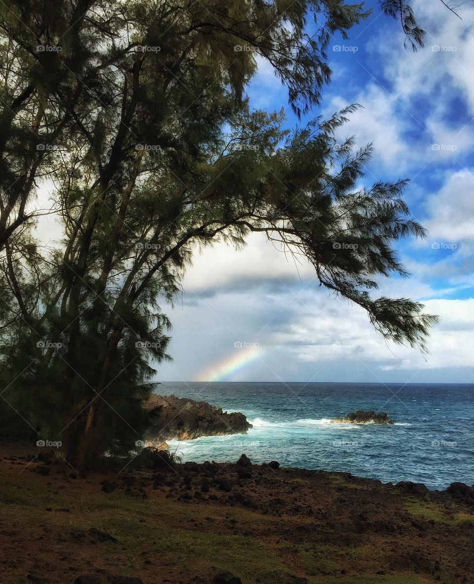 Rainbow from Oliana Point, Puna District, Big Island of Hawaii 