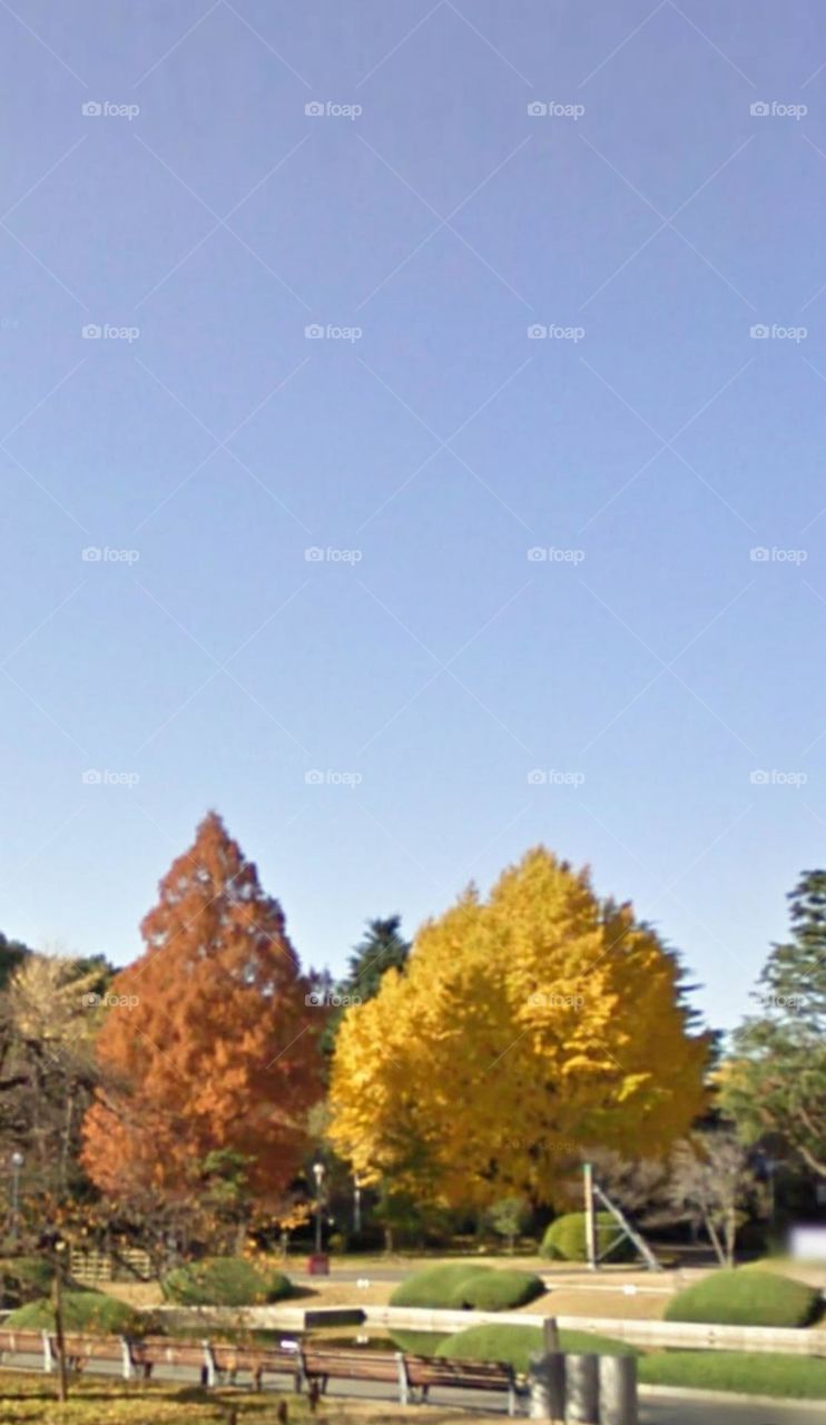 sắc màu nổi bật.