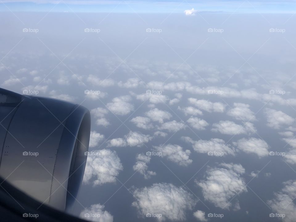 Flight view