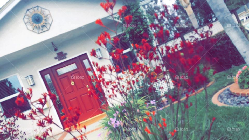 House Gardens #flowers #bloomingtime #beautiful #red #orangeflowers #springtime