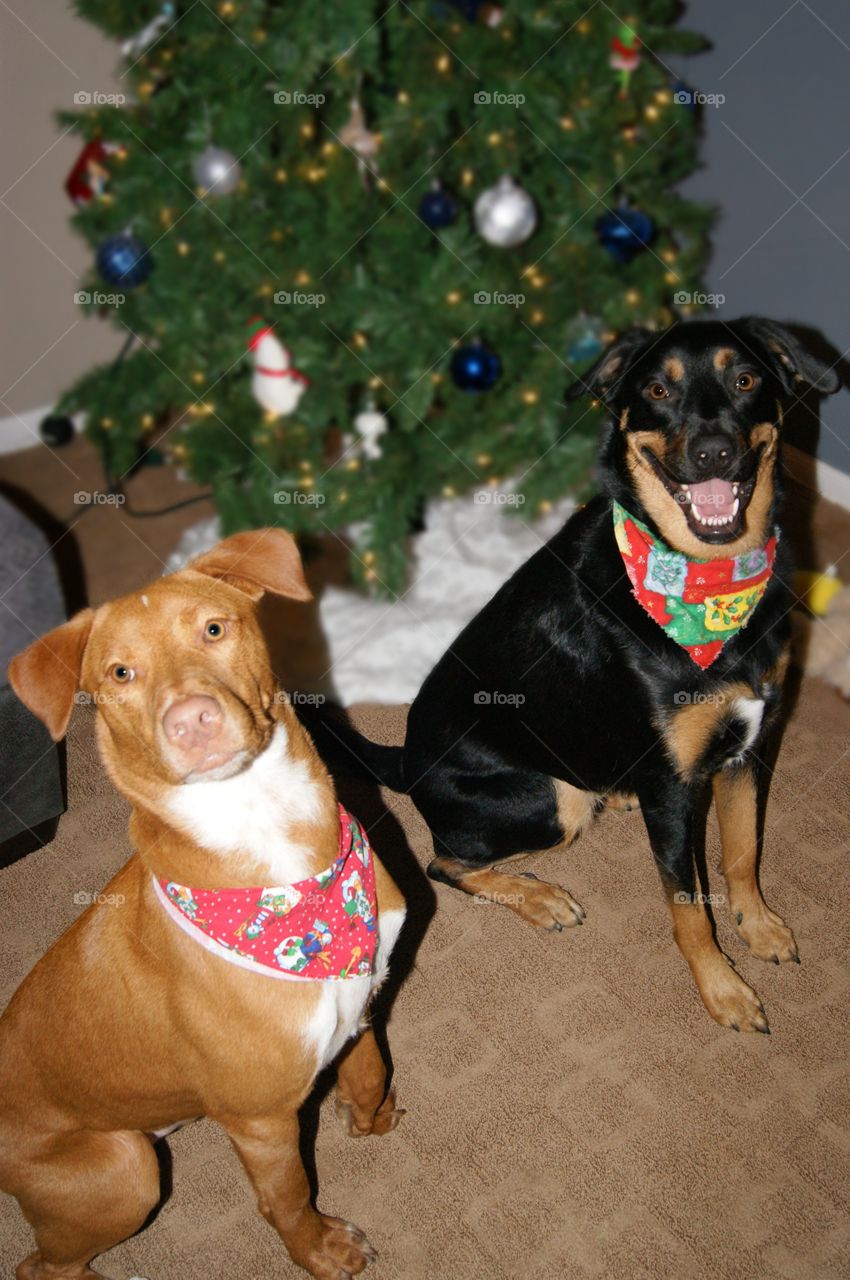 Jake and Keigan are next door neighbors and they do everything together!