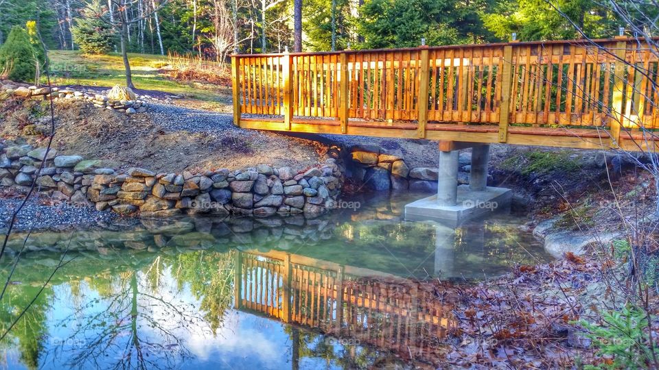 Backyard Reflections 