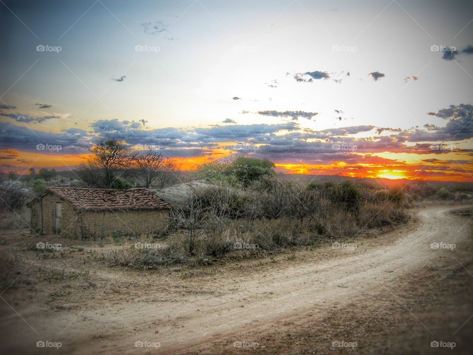 sertão agreste Brazil - backwoods