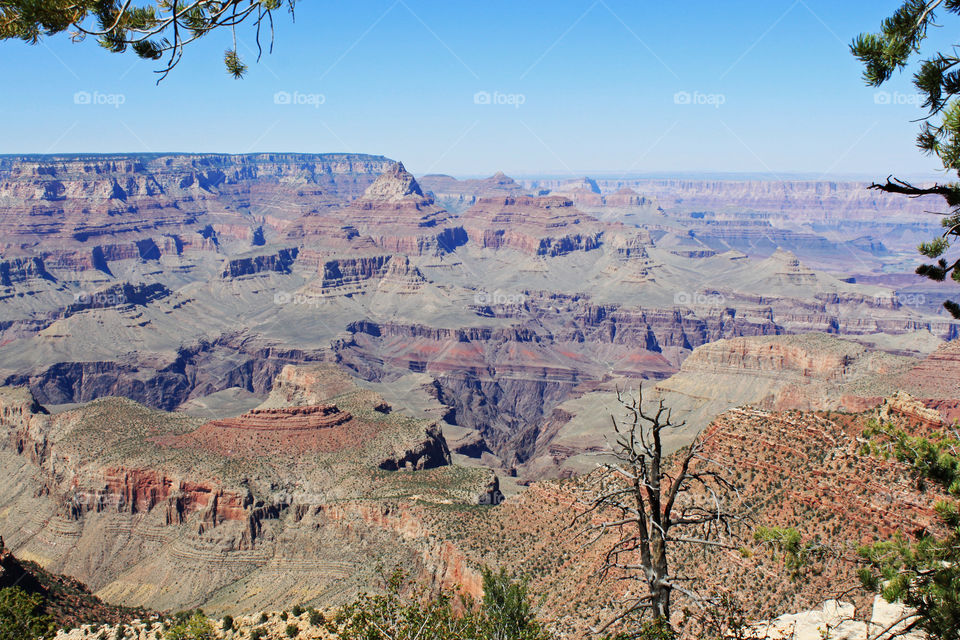 The Grand Canyon in Arizona