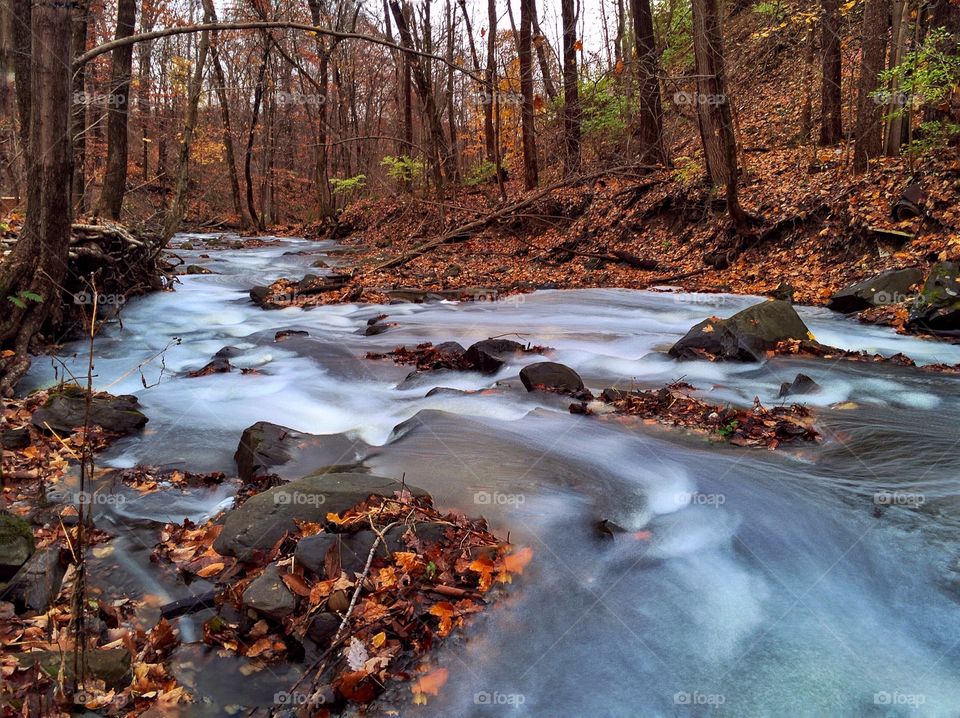 Autumn White Water