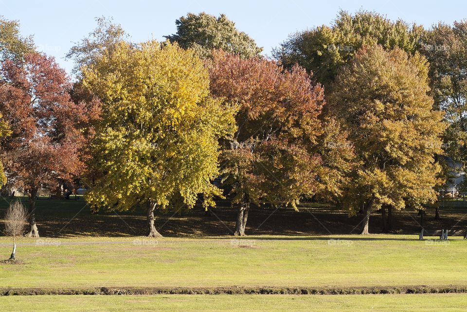 Spring Lake park in South Plainfield, New Jersey