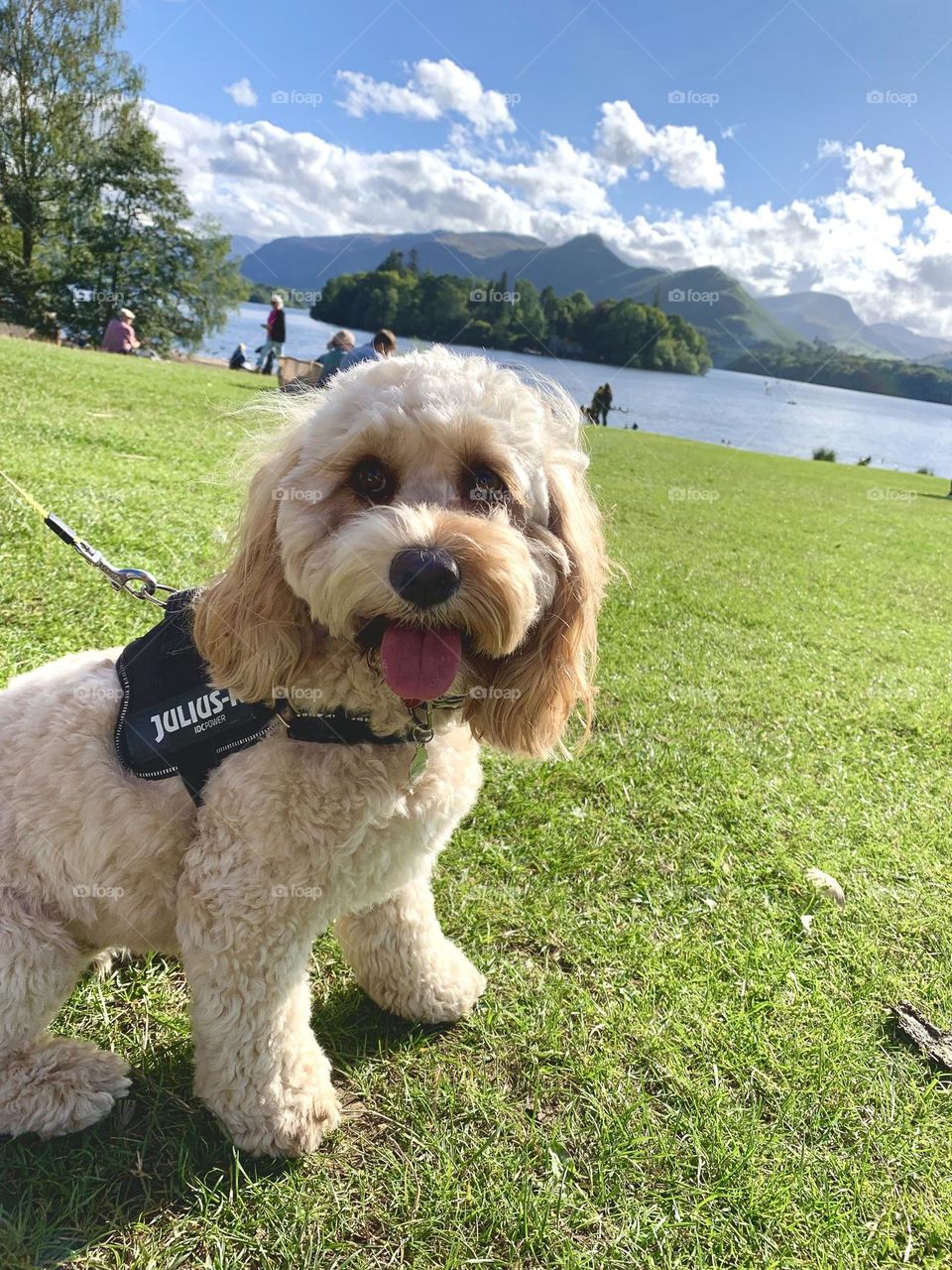 Tell me this isn’t adorable…