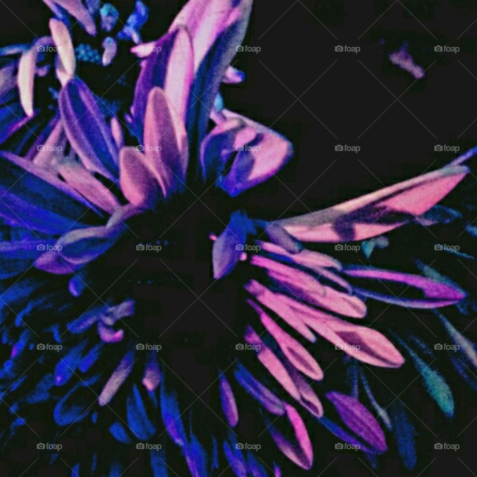 flutterby. lighting effects