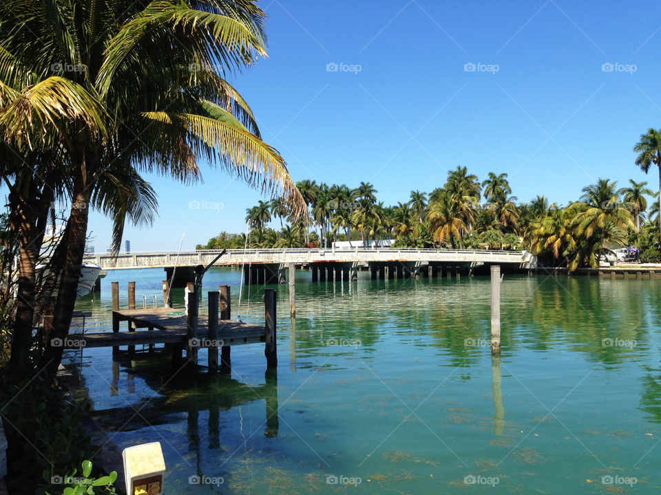 Canal and bridge, Miami, Florida, USA