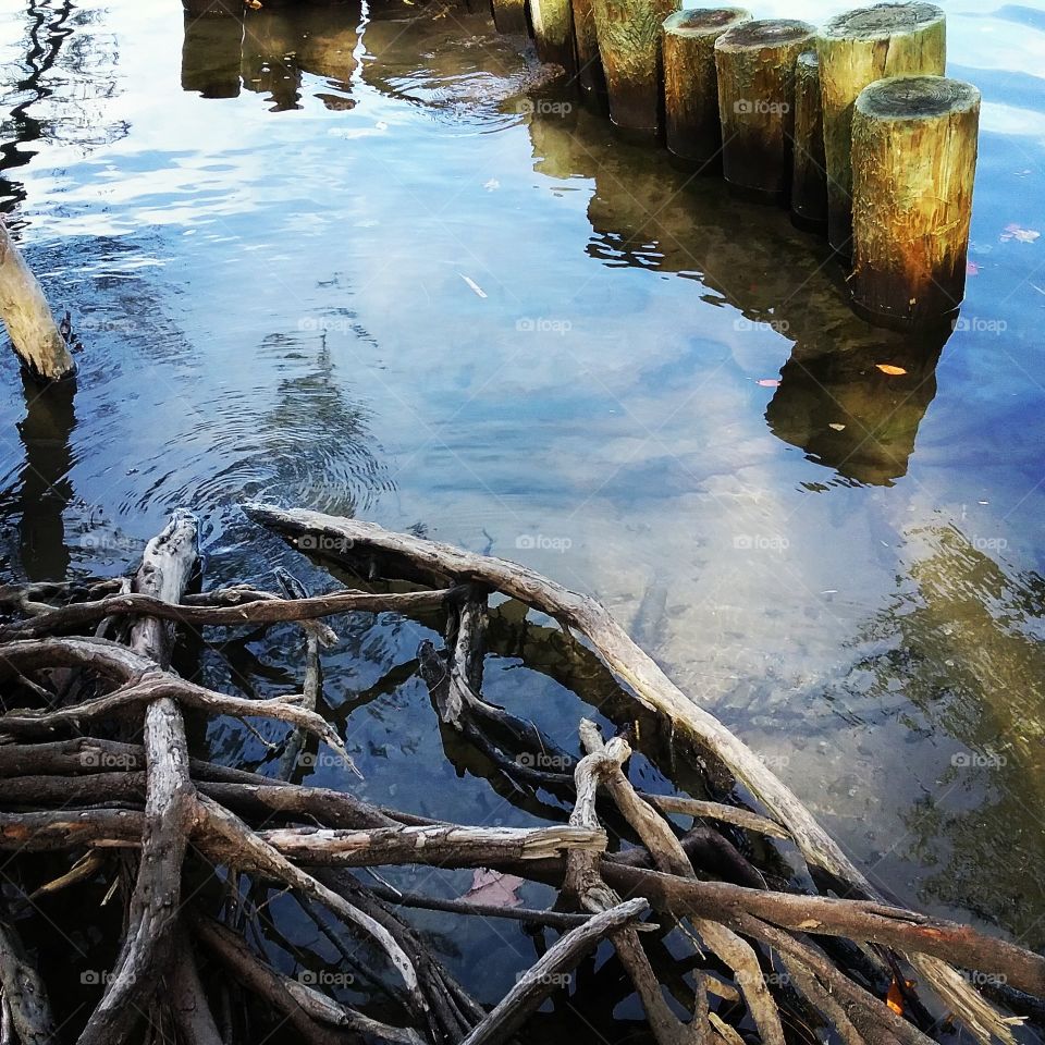 Abandoned Dock