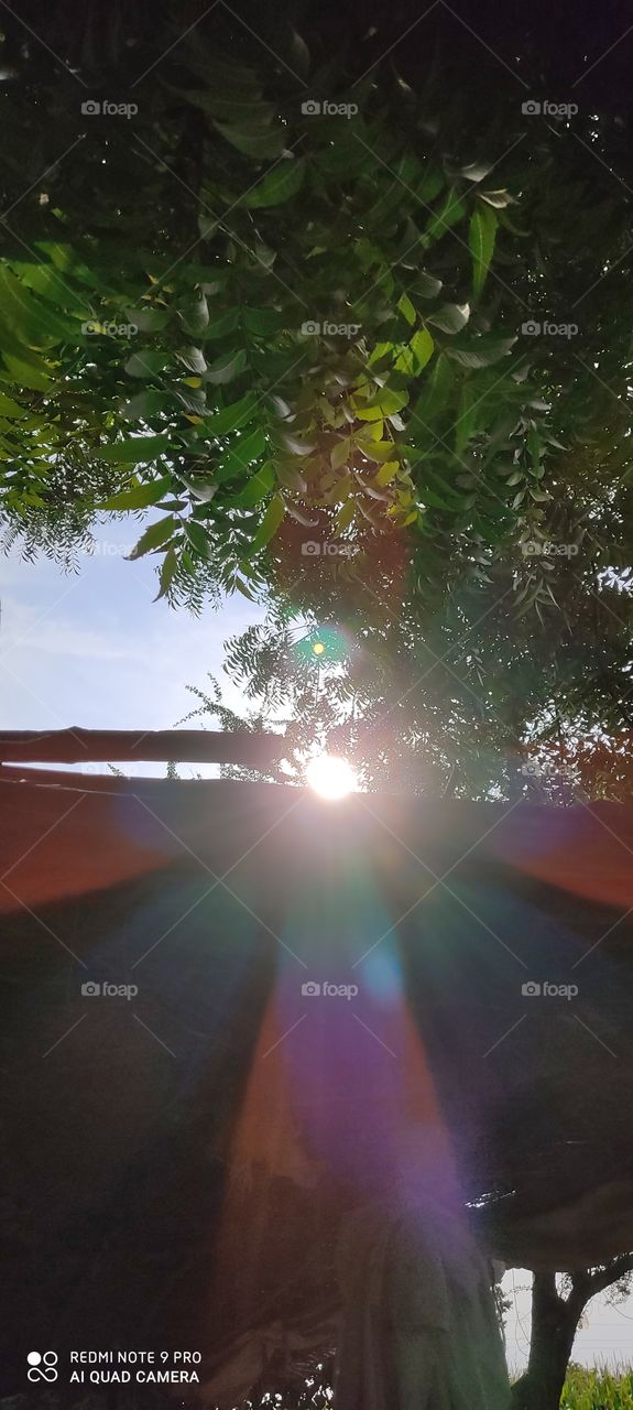 The ray of sun emanating from the top of the house looks very beautiful