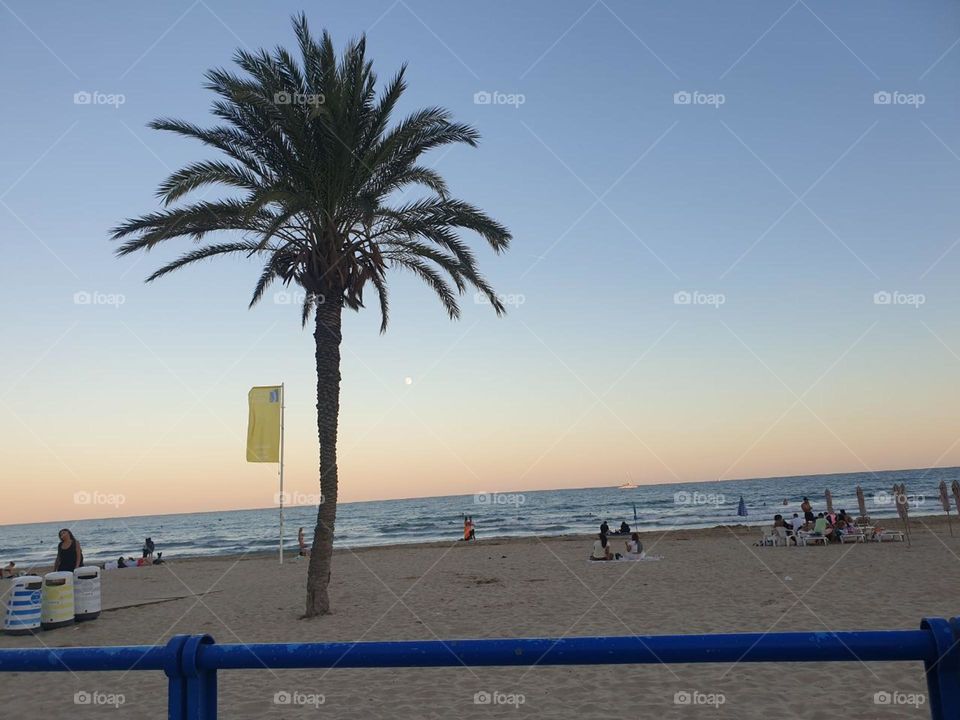 beautiful Benidorm beach with palm tree and sea view enjoying the sky and blue sea, its splendid beauty