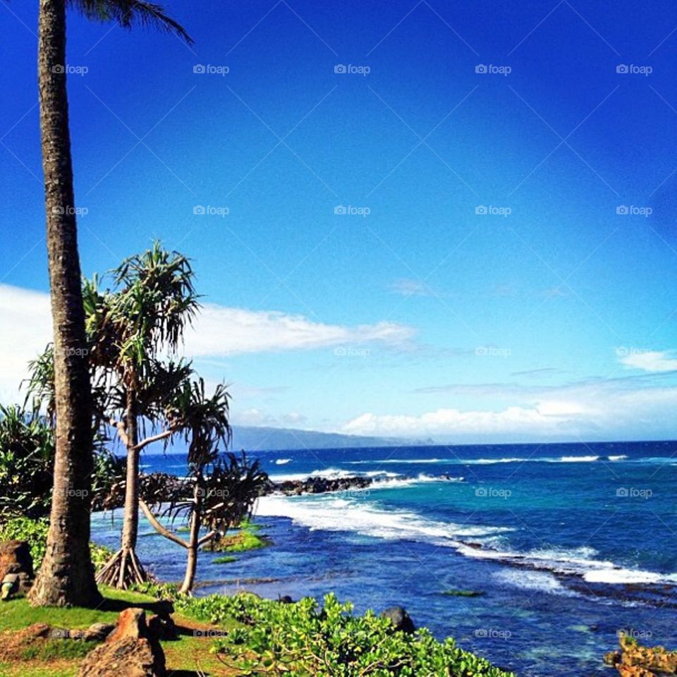 Take me back to Hawaii . Maui beach
