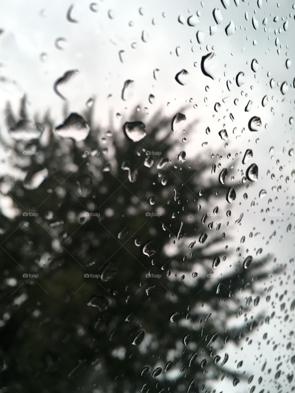 Rainy Day