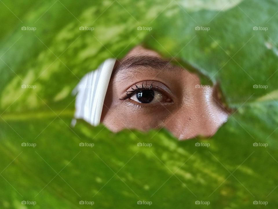 Close-up of an Asian woman's eyes