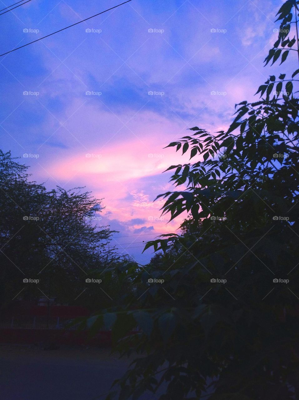 Sun set scene red nd whitish cloud scattered dark tree looks very beautiful, perfect sun set scene