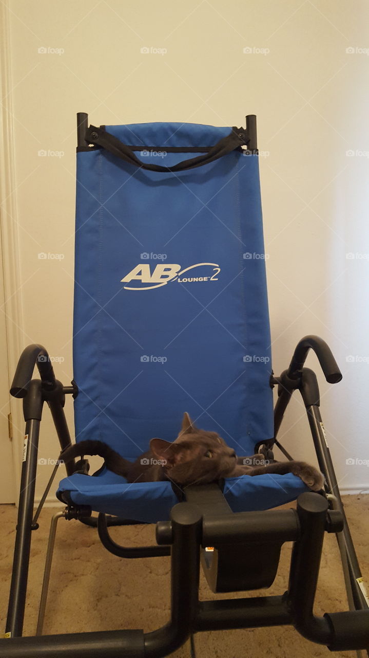 How to use an ab lounger