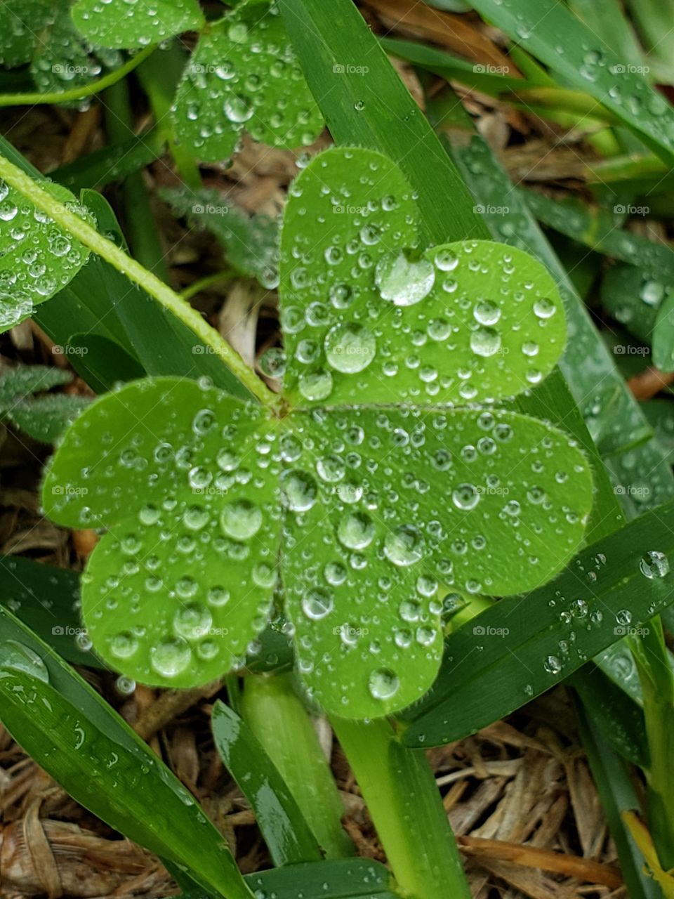 Water drop details