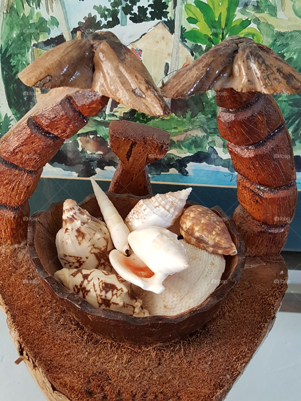 Seashells in coconut shell/husk