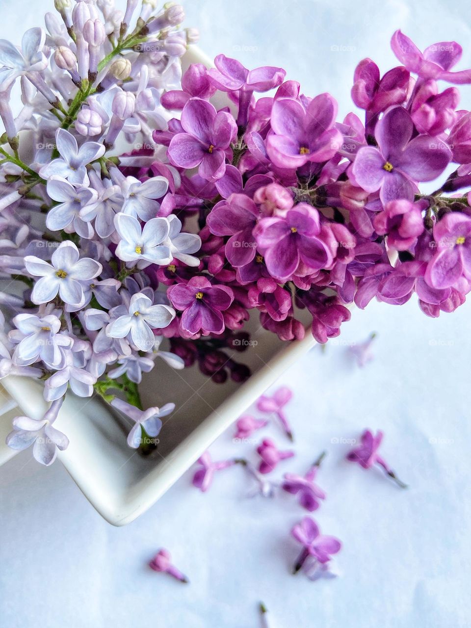 Cup of flowers 