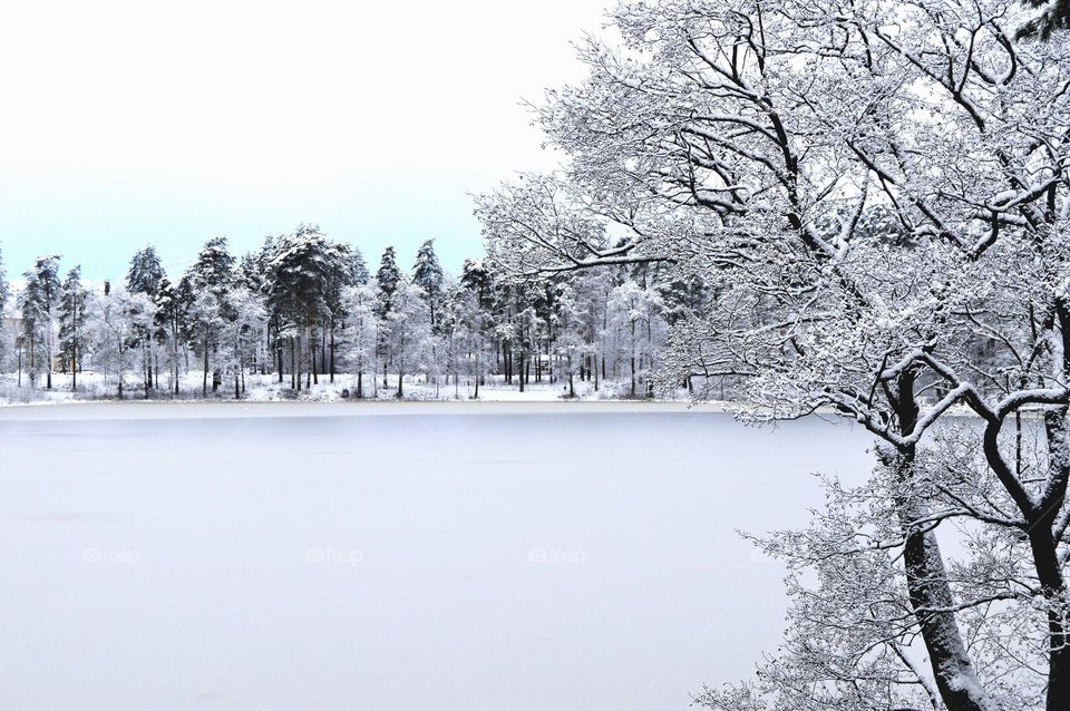 I would like describe this image luxuy beautiful winter love