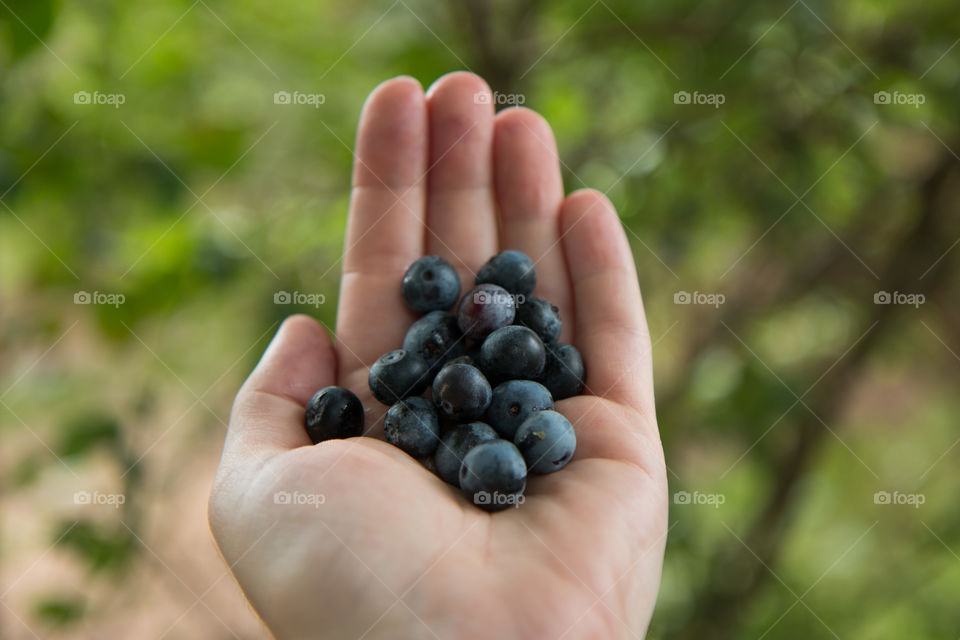 Fresh berries in hand