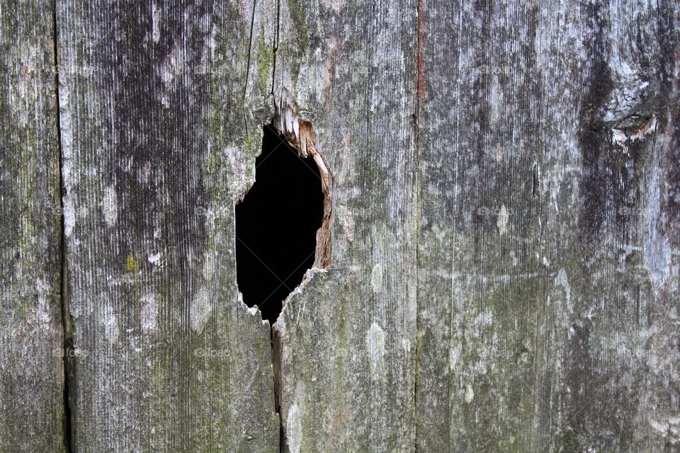 Hole in the old barn wood