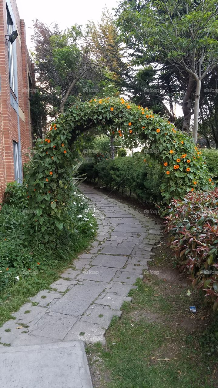 green arch to a private park