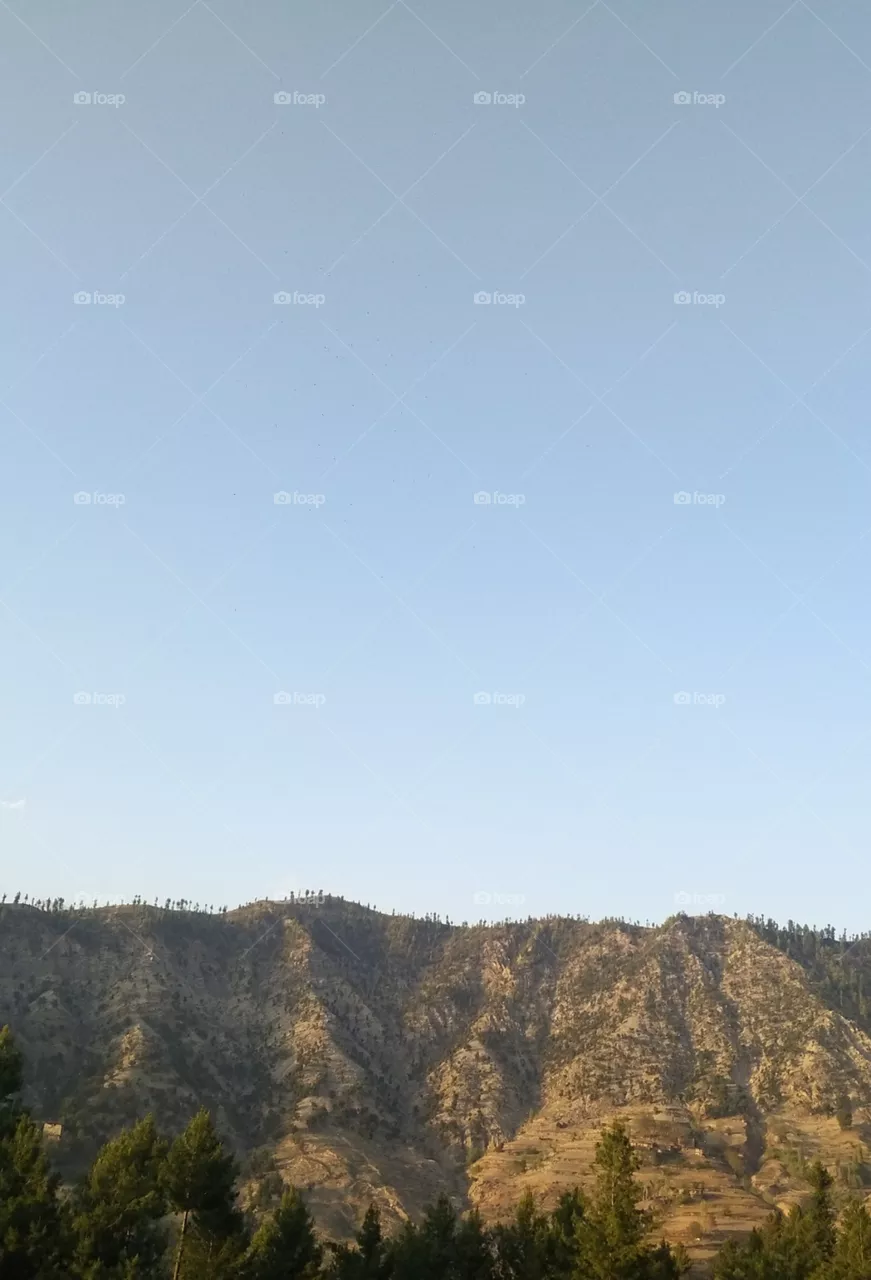 mountain