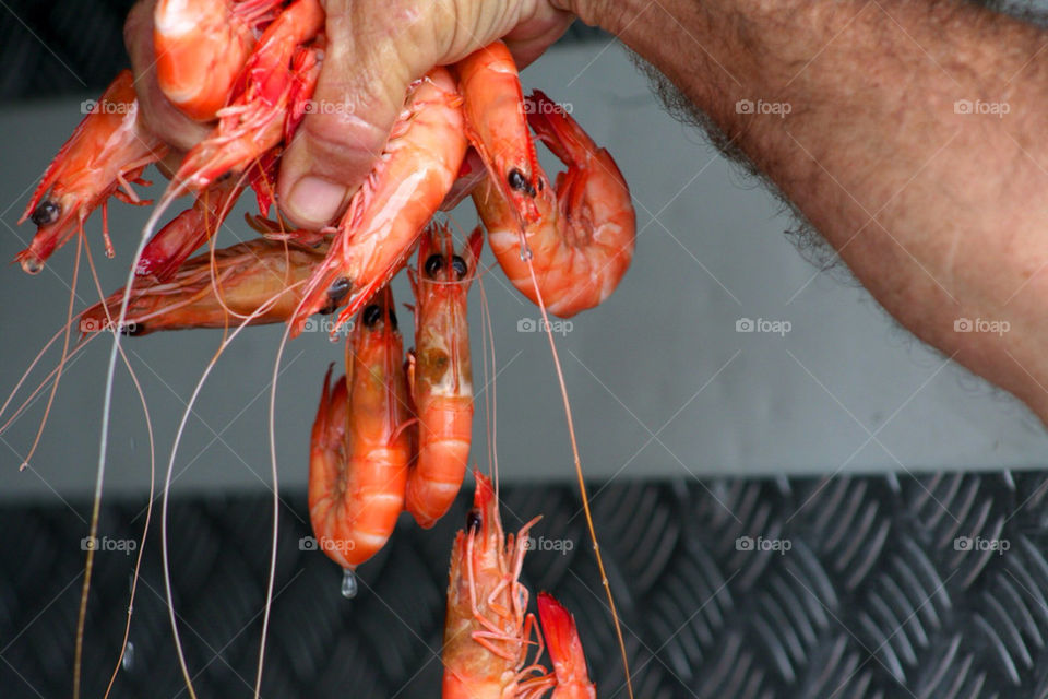 cooking nature travel food by mmcook