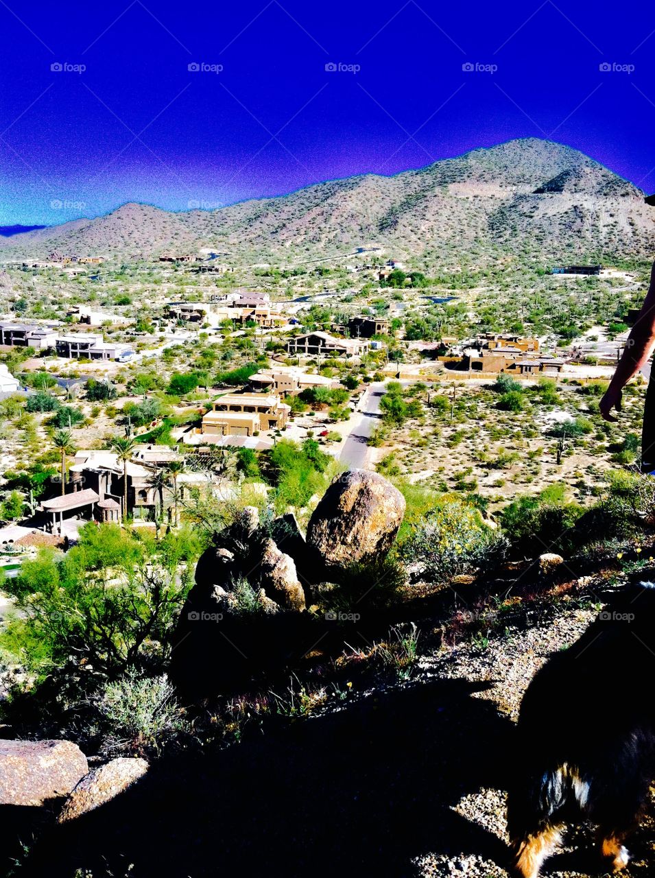 Top of thunder mountain 