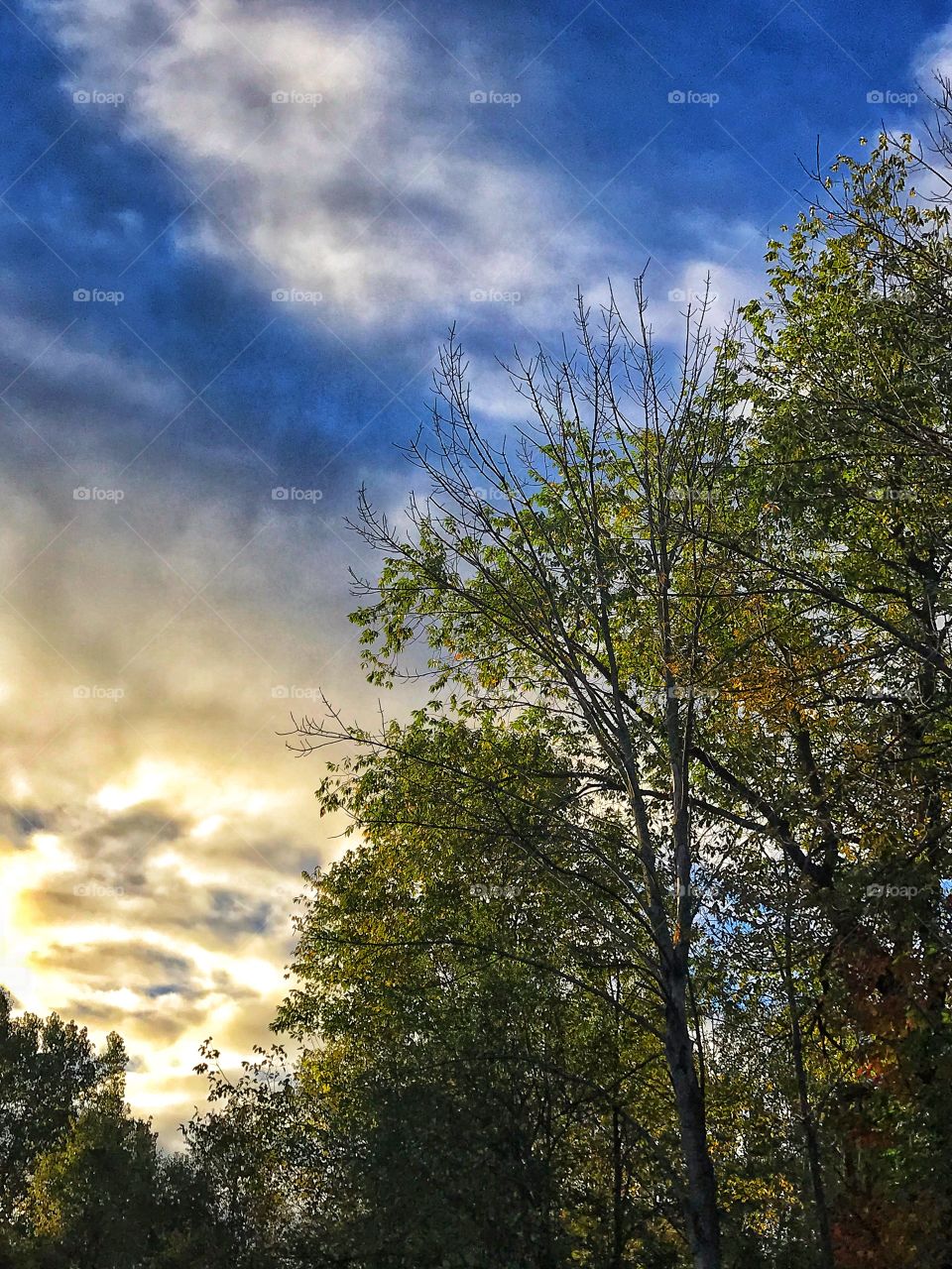 Sunsets after the cloudiest of days are proof that the world is for you not against you. 