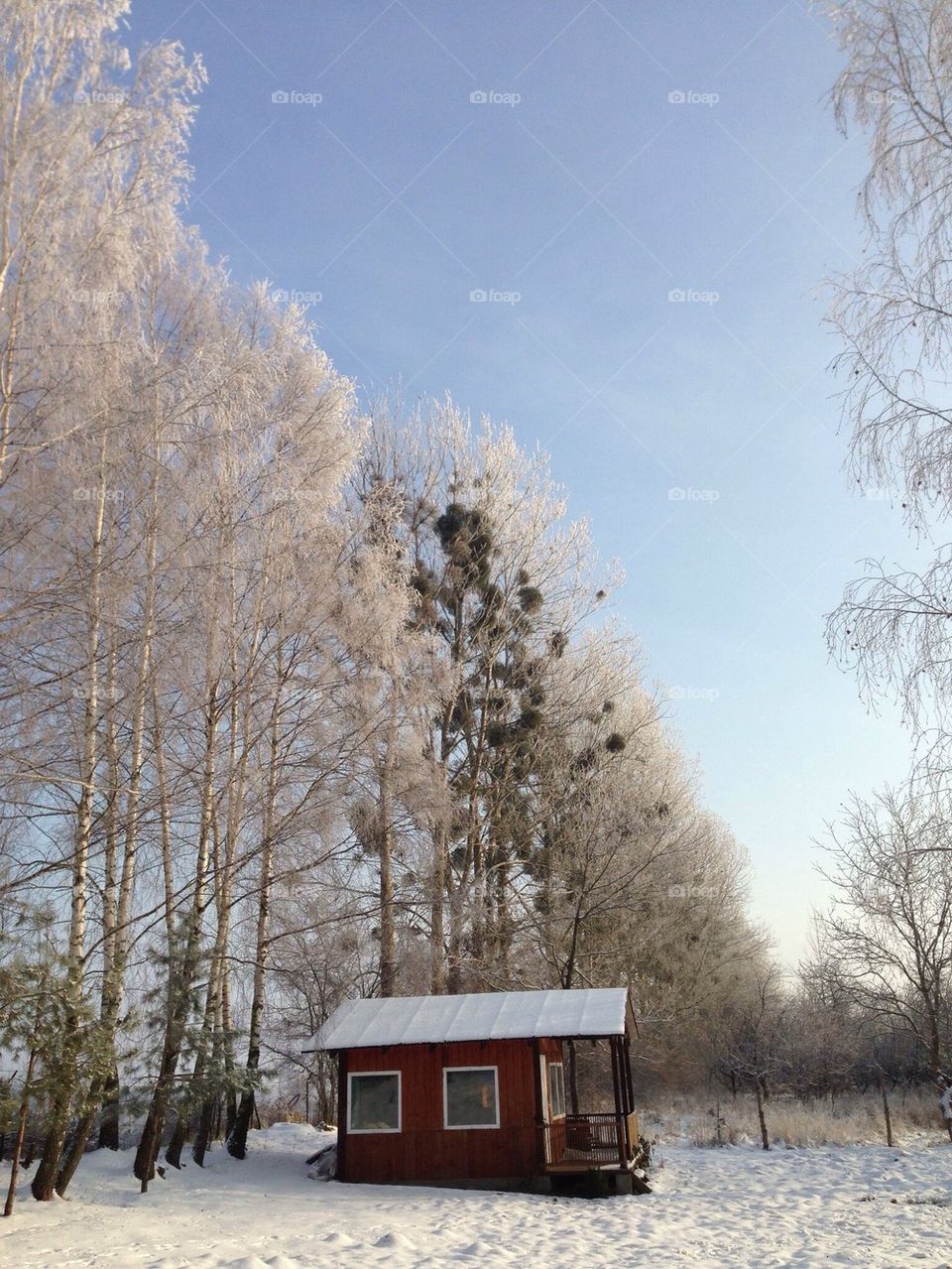 Red house in snow