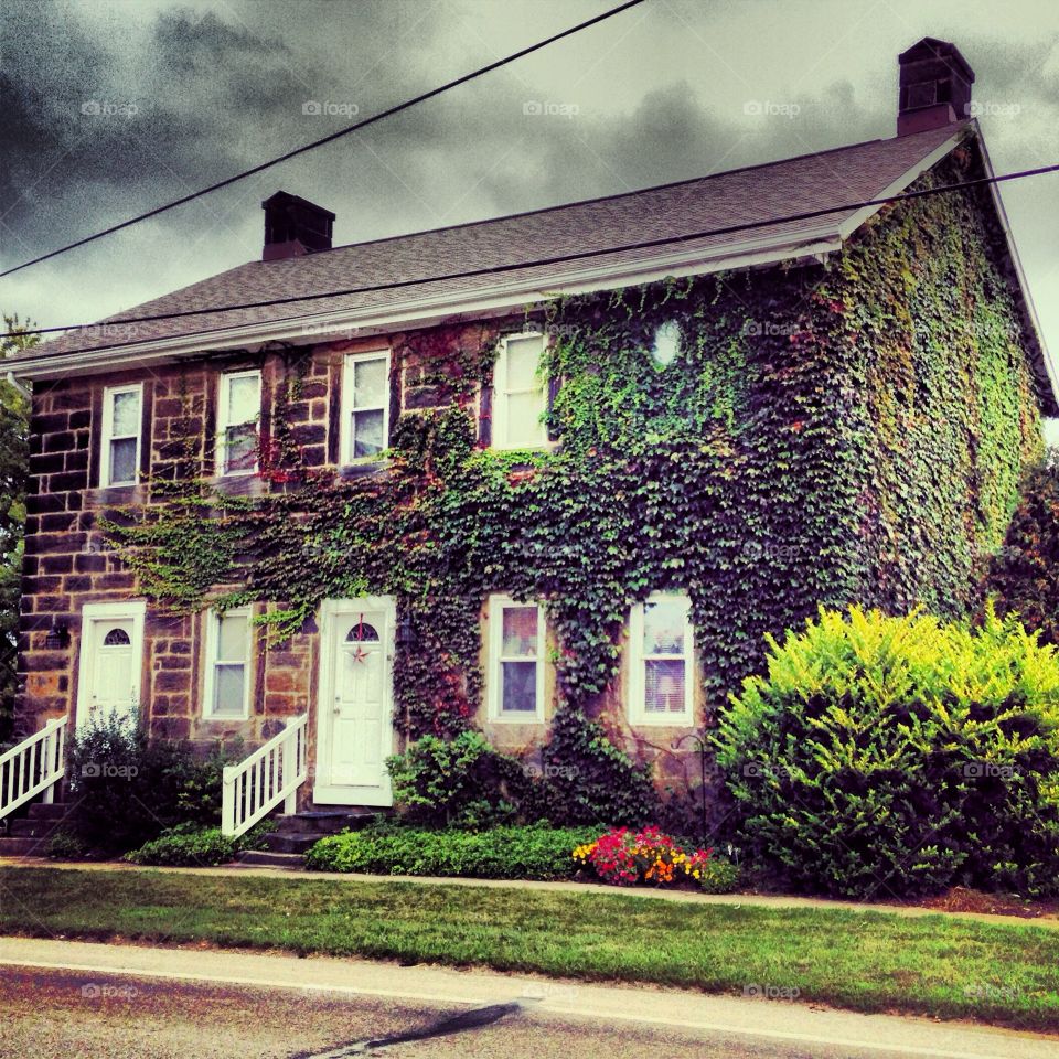 House with ivy