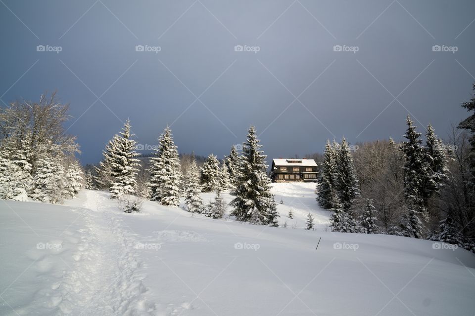 Chalet in the woods during winter. Slovakia