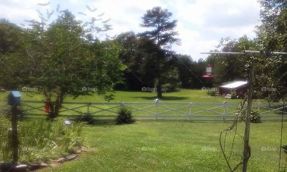 somewhere in Georgia