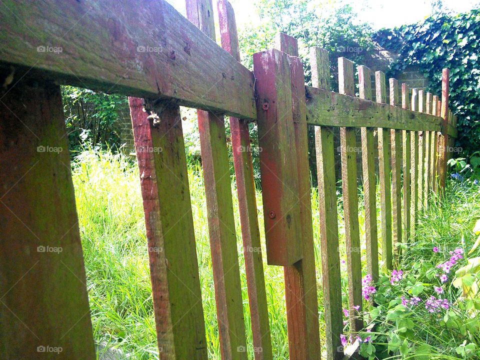 Fence in garden